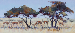 Midday - Etosha I Namibia | 2014-15 | Oil on Canvas | 28 X 75 cm
